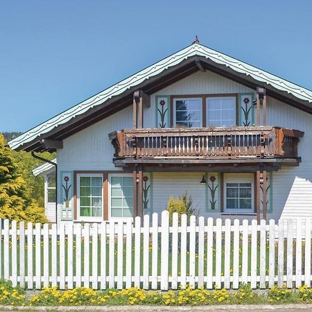 Galerie Haus Villa Braunlage Buitenkant foto