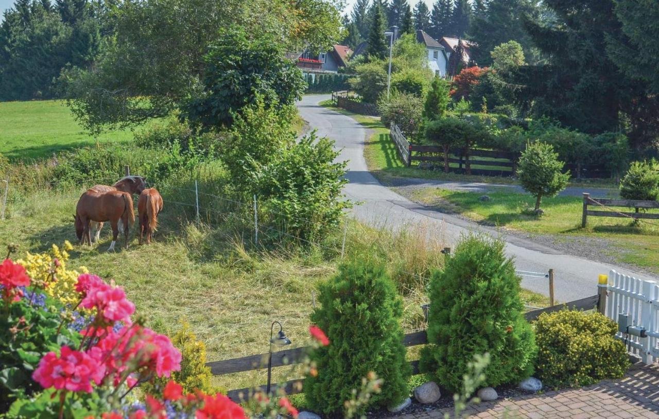 Galerie Haus Villa Braunlage Buitenkant foto
