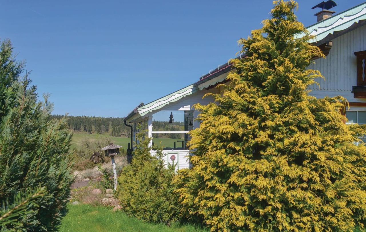 Galerie Haus Villa Braunlage Buitenkant foto